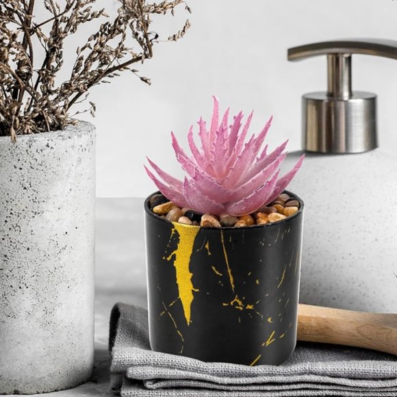 2 Plants Succulents Beautiful Home Decor - Picture 2 of 5